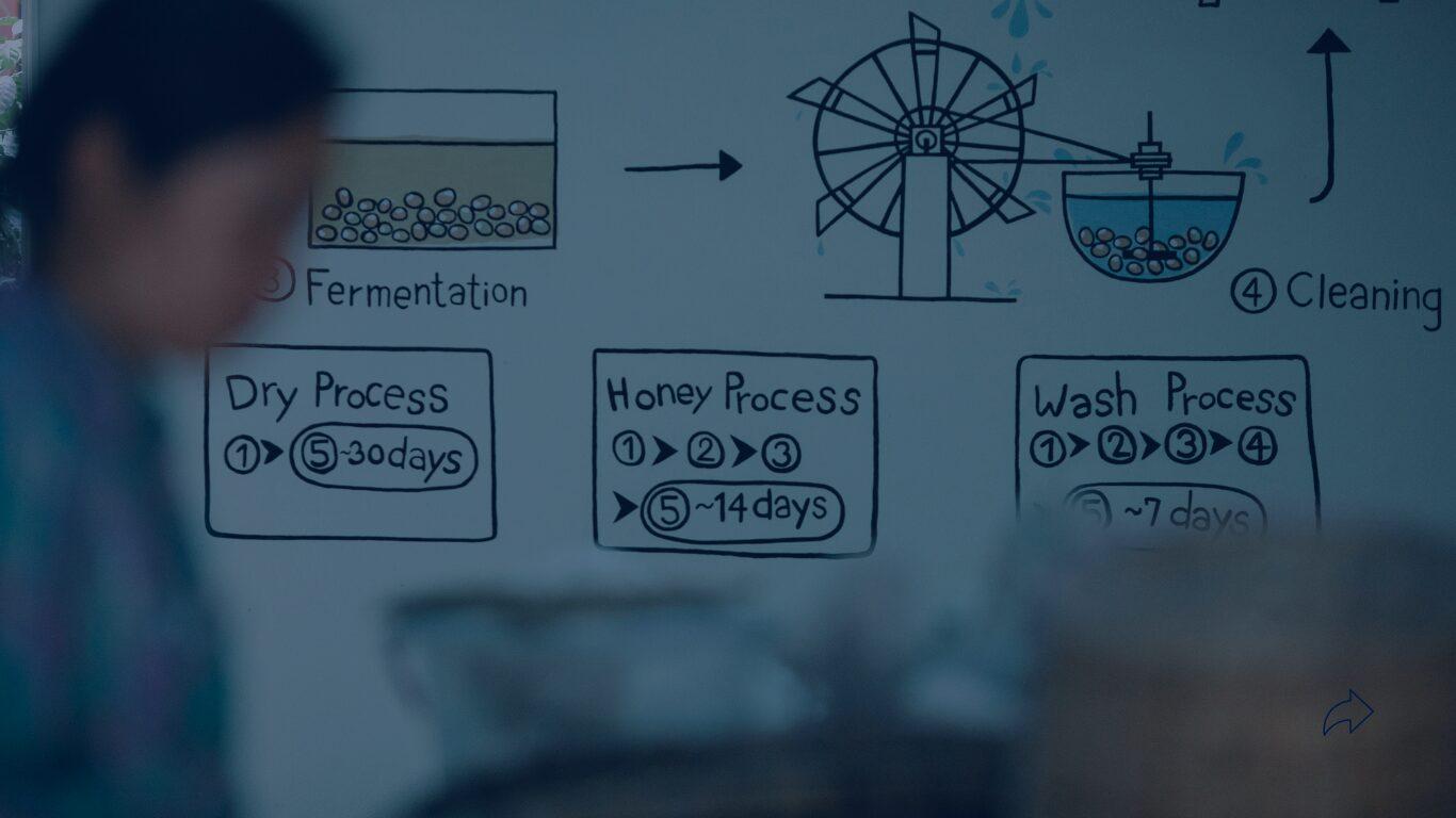 reingeneria de procesos